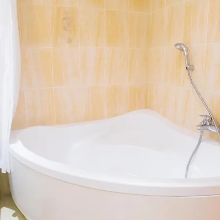 Apartment Romanovskaya Sloboda 1 *